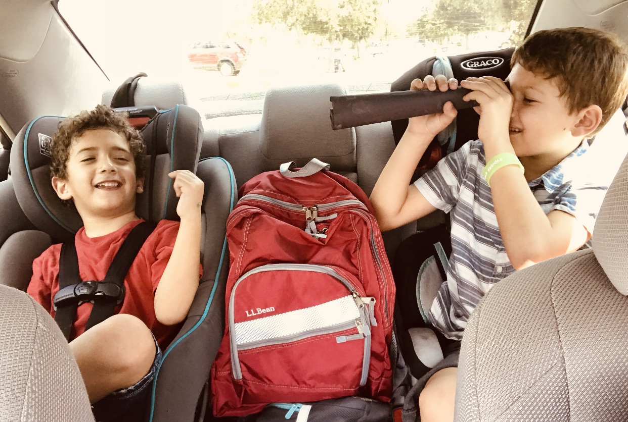 brothers in the car playing