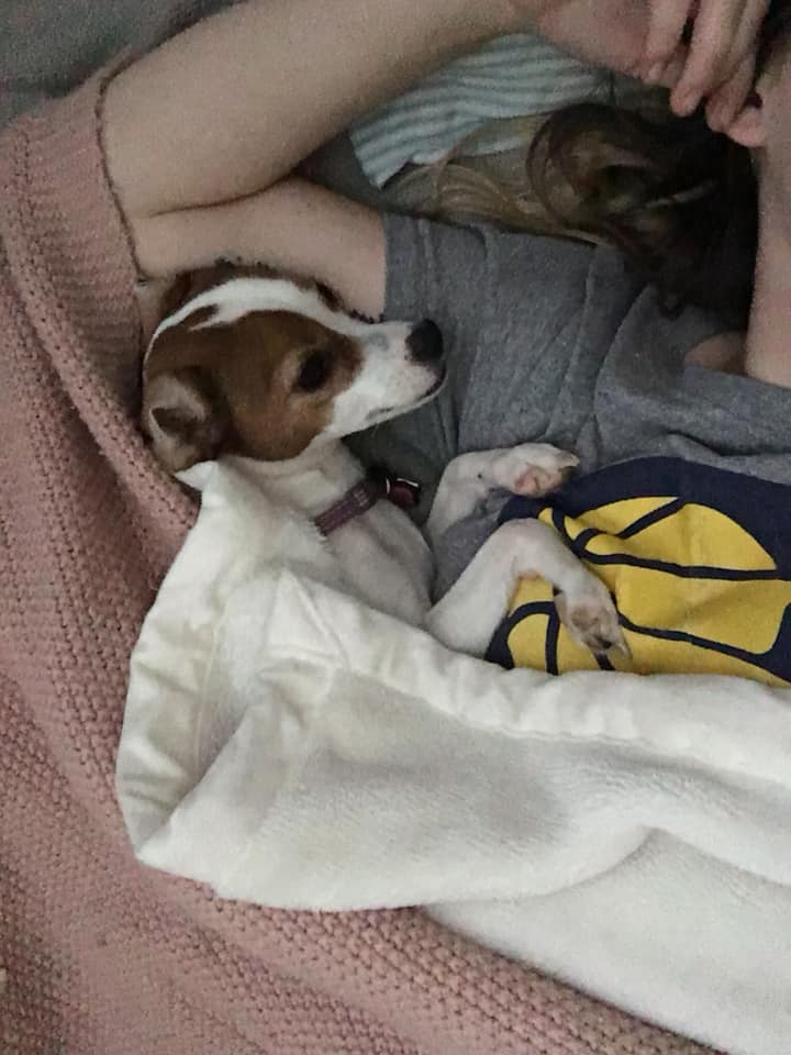woman cuddling with her white and brown jack russell
