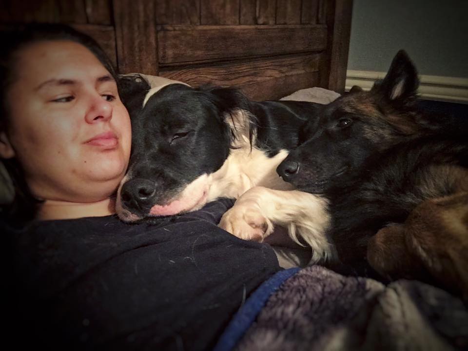 woman lying down next to two large dogs who are sleeping beside her