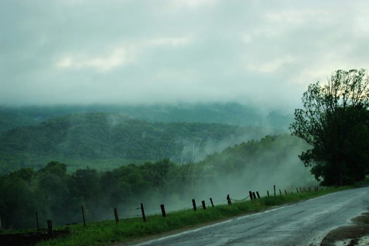 Photo of a green landscape by Mighty community member Clara McGuire