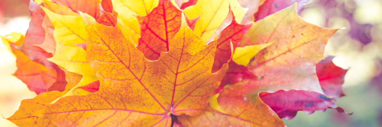 7 Fall Activities Spoonies Chronic Illness a handful of orange, yellow and red leaves for Fall