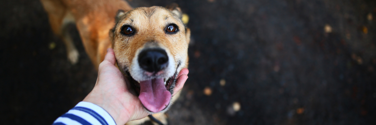 Why I Can't Get a Support Animal for My Illness A picture of a woman petting a dog outside.