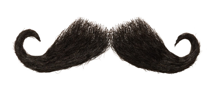 Dark Mens Mustache Isolated on White Background.