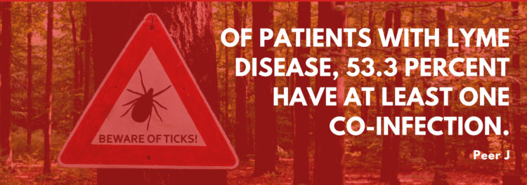 Red overlayed no ticks sign with the stat Of patients with Lyme disease, 53.3 percent have at least one co-infection.