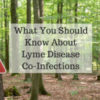 No ticks sign posted on tree in the forest with What You Should Know About Lyme Disease Co-Infections header