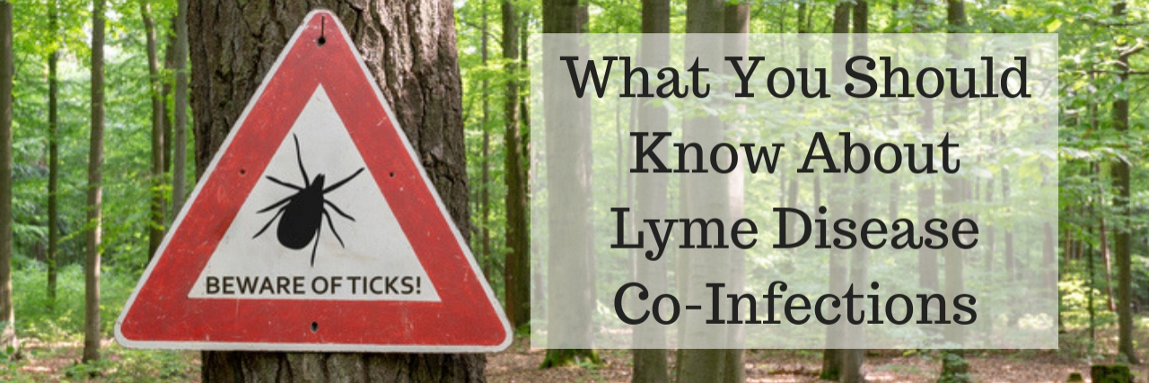 What Are Lyme Disease Co-Infections? No ticks sign posted on tree in the forest with What You Should Know About Lyme Disease Co-Infections header