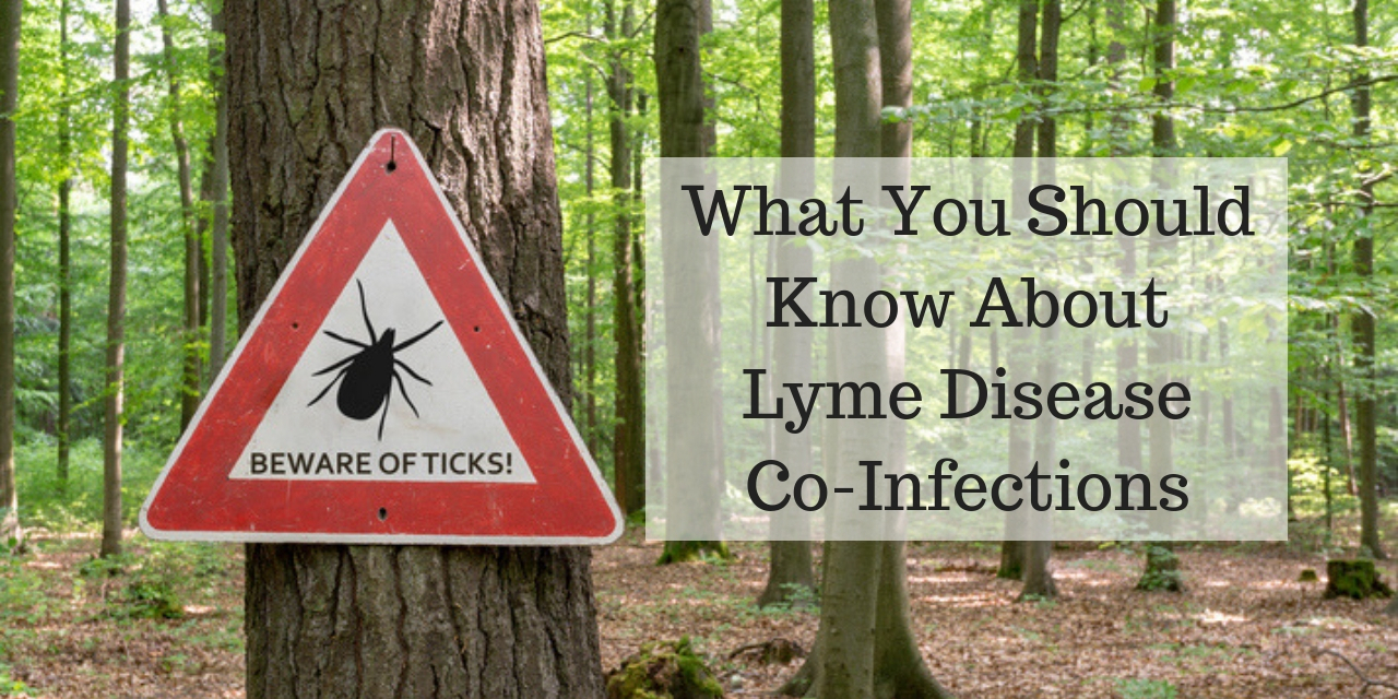 What Are Lyme Disease Co-Infections?