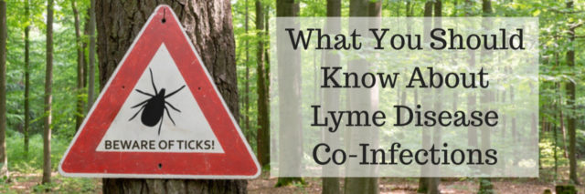 No ticks sign posted on tree in the forest with What You Should Know About Lyme Disease Co-Infections header