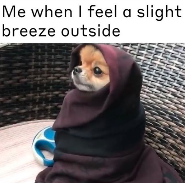 If Your Body Can Never Decide If Its Hot Or Cold These 14 Memes Are For You 0795