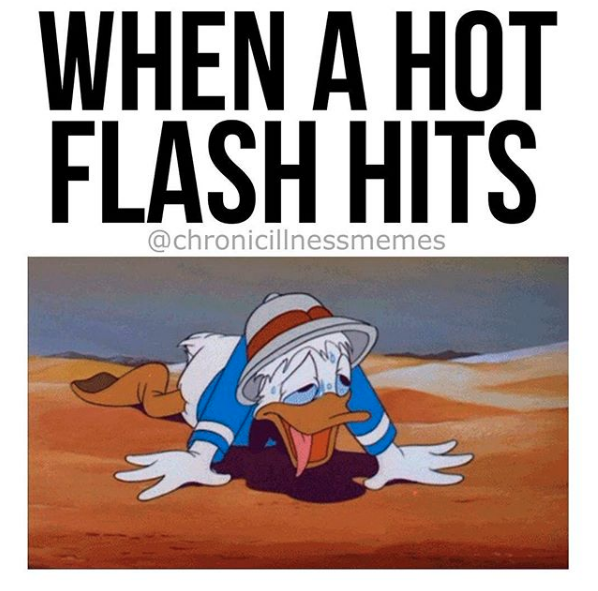 donald duck in desert with caption when a hot flash hits
