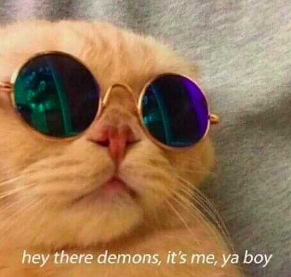 Meme of cat wearing reflective sunglasses with the caption: "hey there demons, it's me, ya boy"