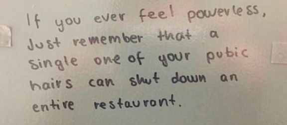 Meme: "If you ever feel powerless, just remember that a single one of your pubic hairs can shut down an entire restaurant"