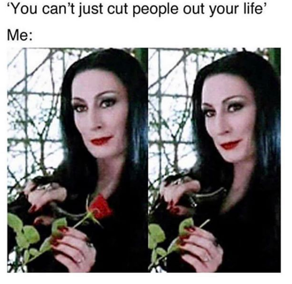 Meme with a picture of Morticia Addams cutting a rose. Text says: "You can't just cut people out of your life.' Me:"