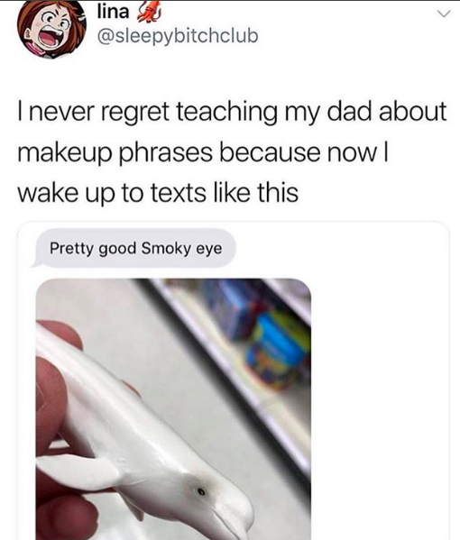"I never regret teaching my dad about makeup phrases because now I wake up to texts like this (shows a picture of man holding a toy beluga with a text message that says: "pretty good smoky eye"