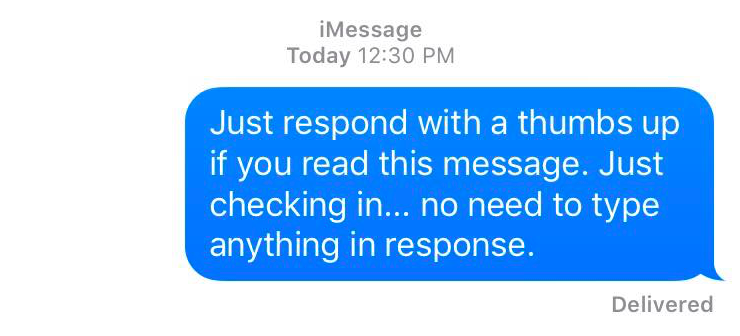 Just respond with a thumbs up if you read this message. Just checking in... no need to type anything in response.