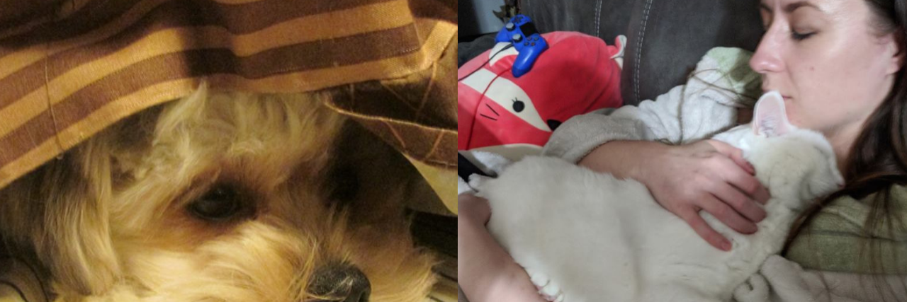 left photo: dog hiding under the covers of a bed. right photo: woman sleeping on the couch and holding her cat against her chest.