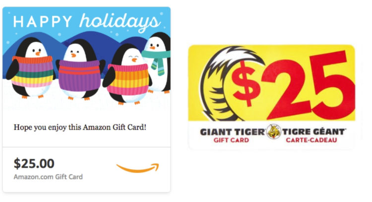 amazon gift card and giant tiger gift card