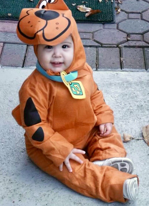 boy dressed as scooby doo for halloween