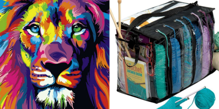 lion paint by numbers set and knitting bag