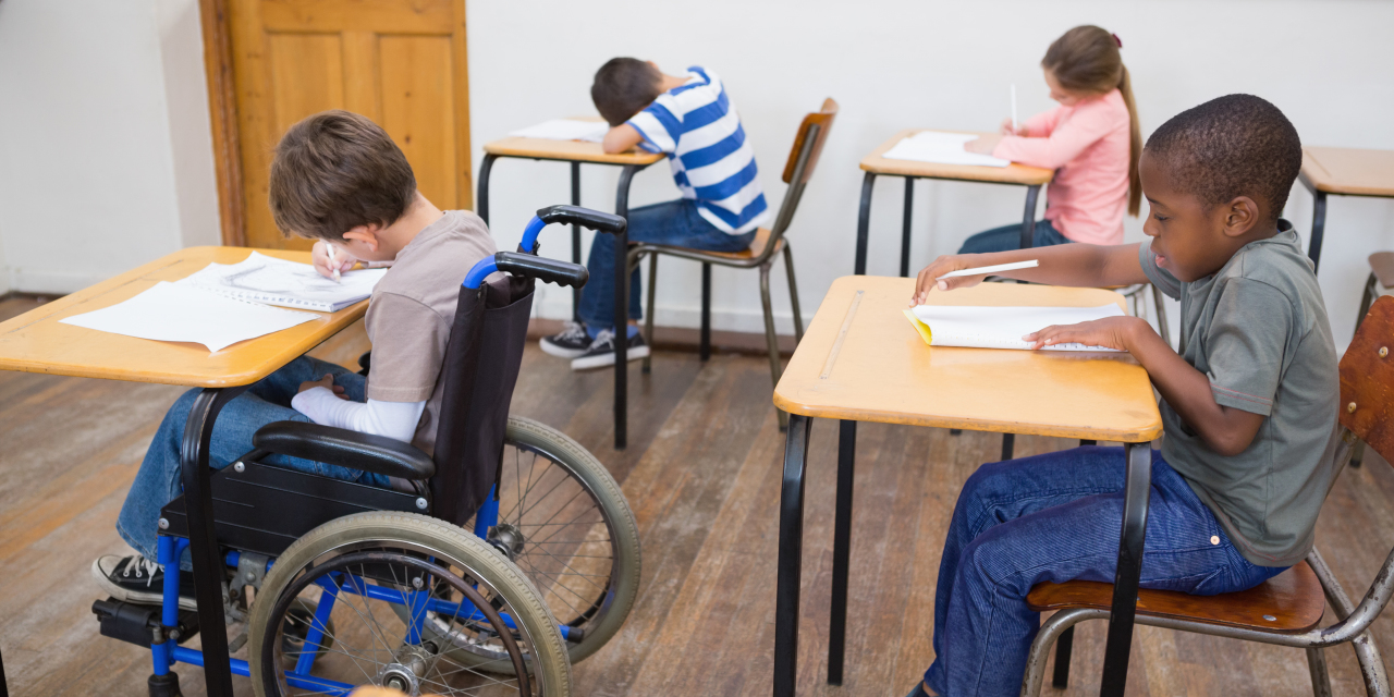 Learning disabled students with jobs