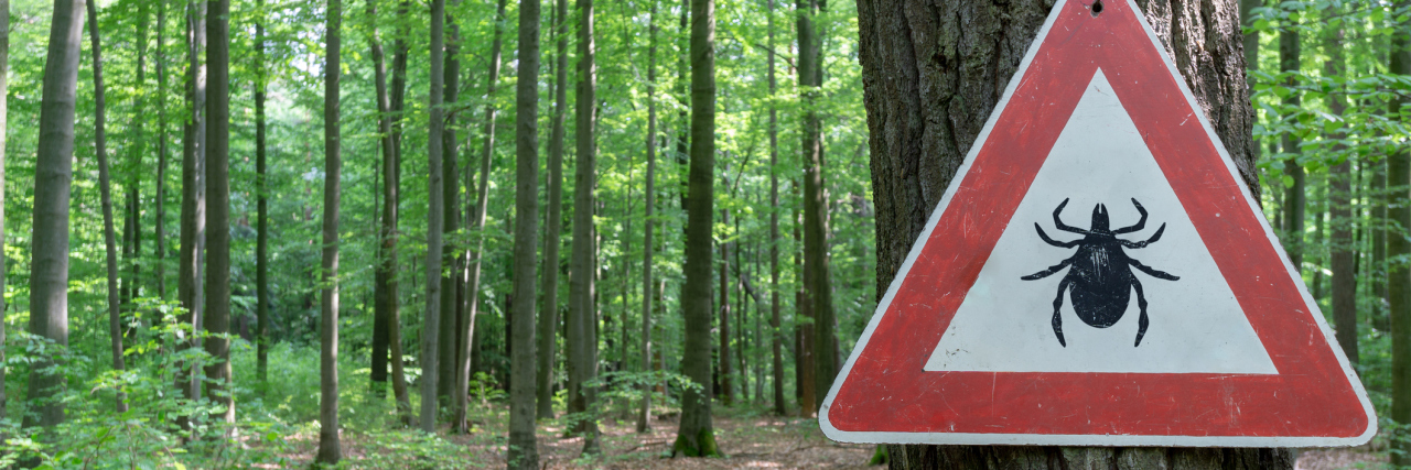 Tick-Borne Disease Working Group Recommends More Resources for Lyme tick insect warning sign in forest