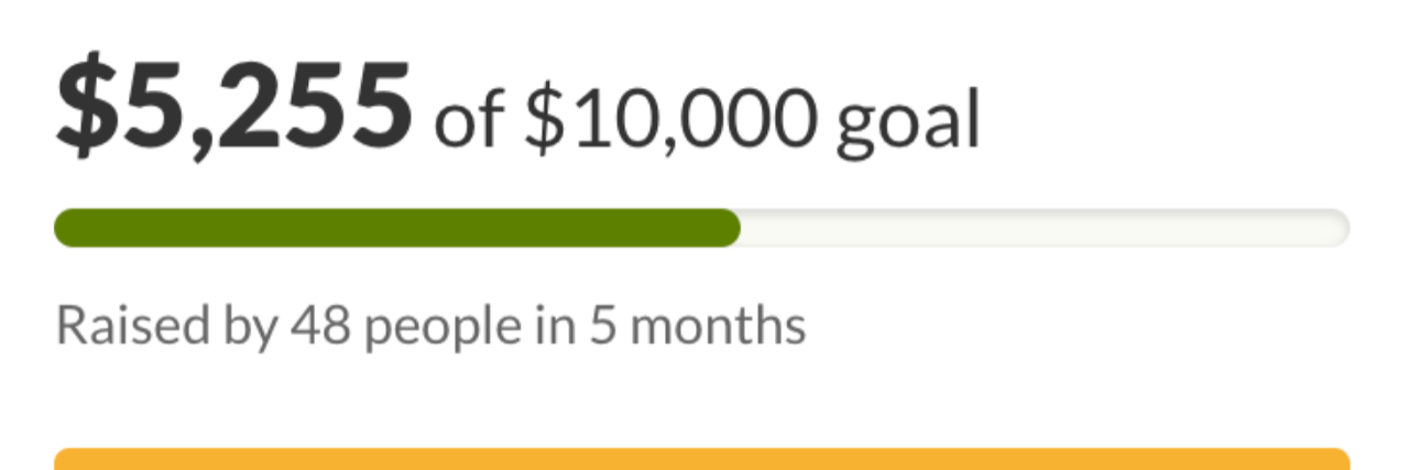 GoFundMe campaign's goal with "donate now" button