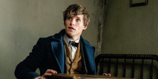 Newt Scamander with his briefcase
