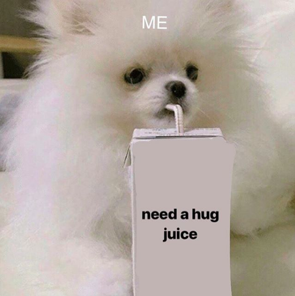 small dog sipping from juice box labeled "need a hug juice"