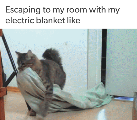escaping to my room with my electric blanket like... image of cat dragging blanket across the floor