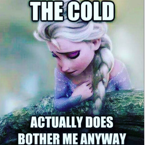 picture of elsa that says "the cold actually does bother me anyway"