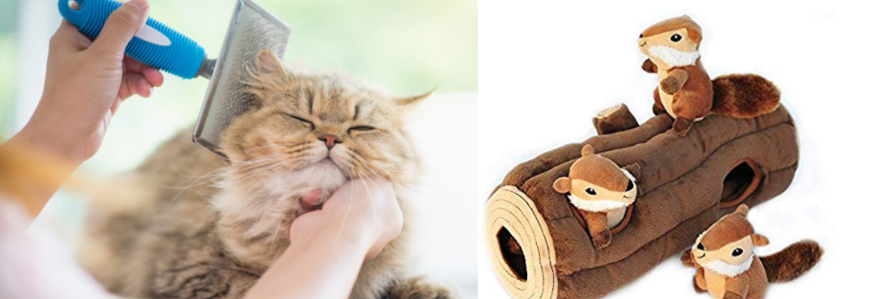 10 Gifts for a Service Dog or Emotional Support Animal A cat being brushed next to a dog toy