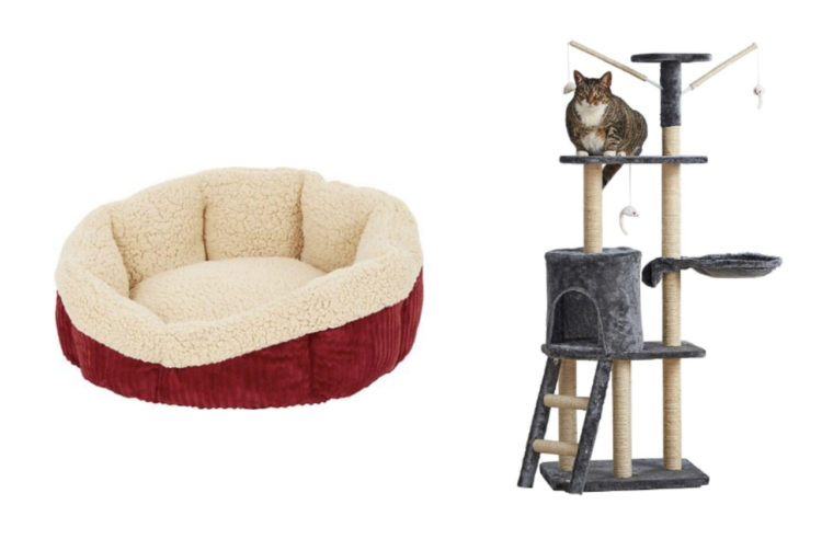 dog bed and cat tree