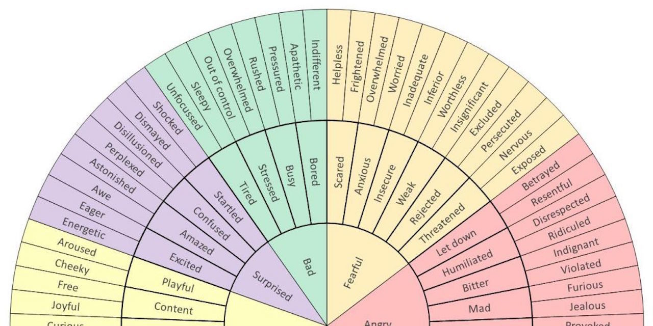 Using a 'Wheel of Emotions' to Help Identify What You're ...