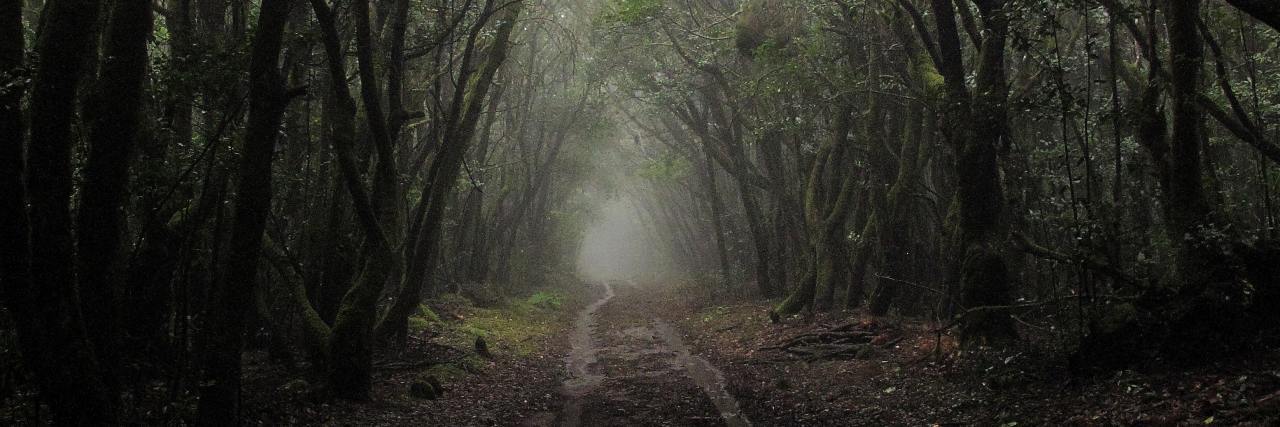 What Life Is Actually Like (Immediately) After a Suicide Attempt photo of pathway through woods with fog