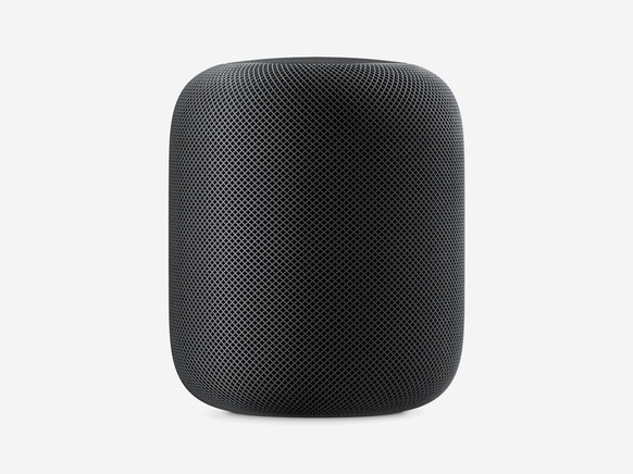 Homepod smart speaker from Apple makes your home more disability accessible.