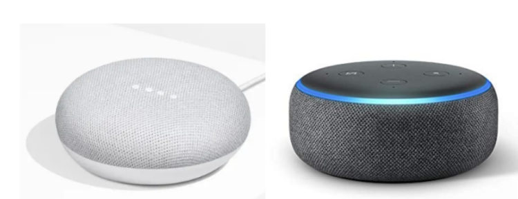 google assistant and echo dot