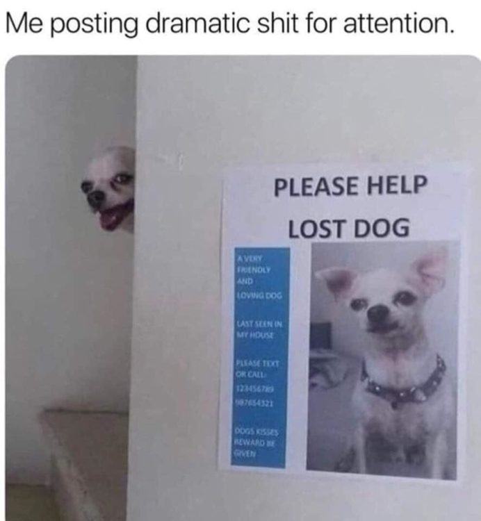 me posting dramatic shit for attention meme: image of lost dog sign with dog around the corner watching