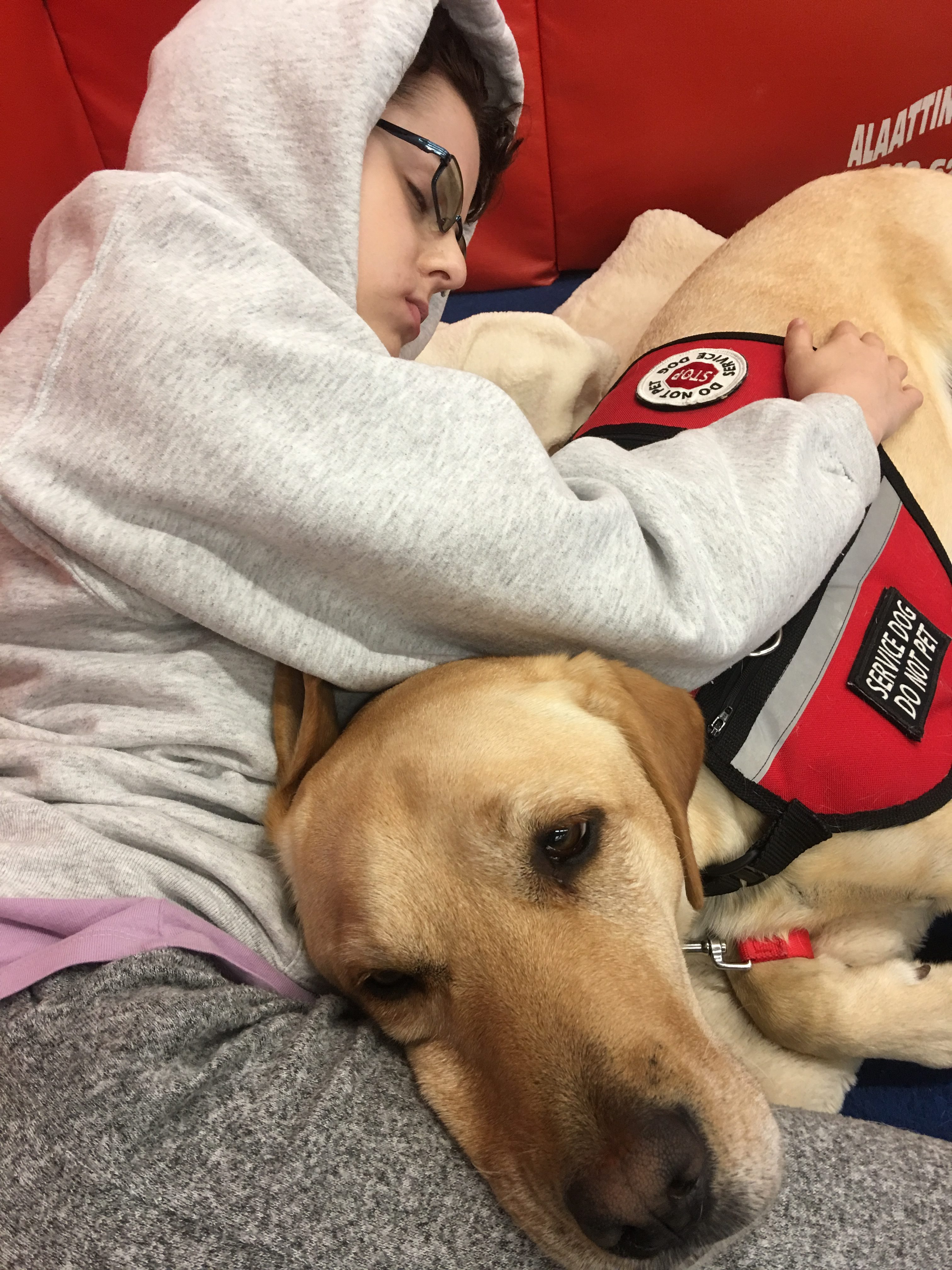 Cassidy cuddling on the floor with Sonoma.