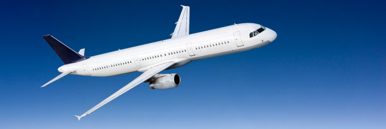 Delta Air Line Tightens Service Animal and ESA Restrictions Again Airplane in the sky