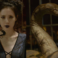 nagini as a woman and snake
