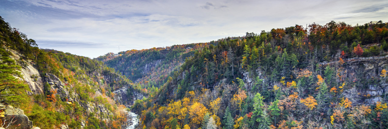 Climbing a Mountain With Rheumatoid Arthritis Tallulah Gorge in Georgia, USA.