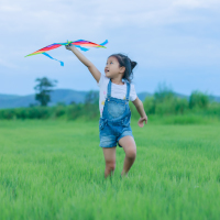 Asian girl with a kite running.