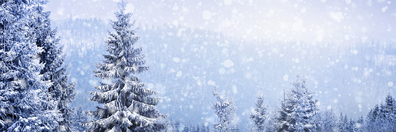 Disabled People Are Not Your Holiday Inspiration Fairy winter landscape with fir trees.