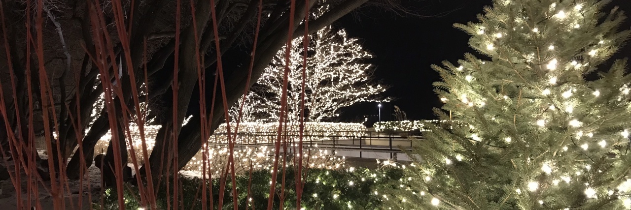 What 'It's a Wonderful Life' Means for Someone With Mental Illness photo of trees with christmas lights at night