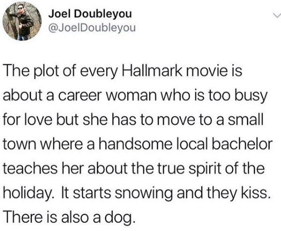 The plot of every Hallmark movie is about a career woman who is too busy for love but she has to move to a small town where a handsome local bachelor teaches her about the true spirit of the holiday. It starts snowing and they kiss. There is also a dog. Via @JoelDoubleyou.
