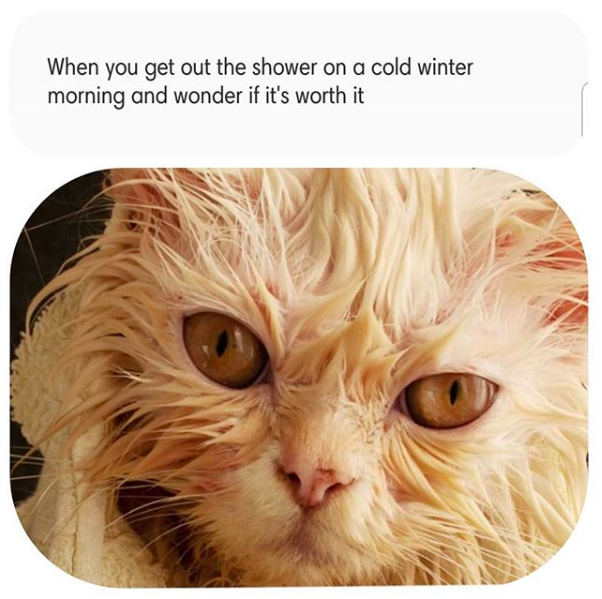 when you get out of the shower on a cold winter day and wonder if it's worth it