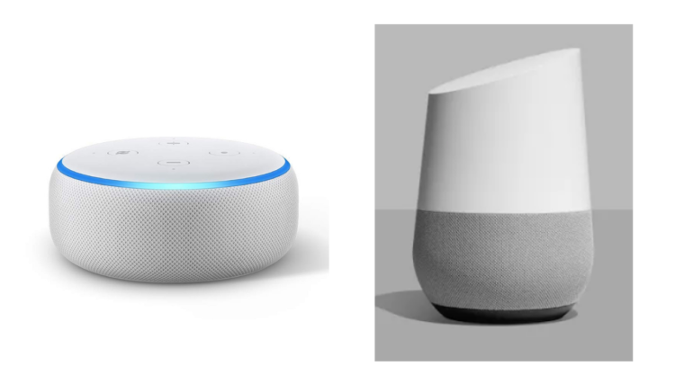 amazon echo dot and google home