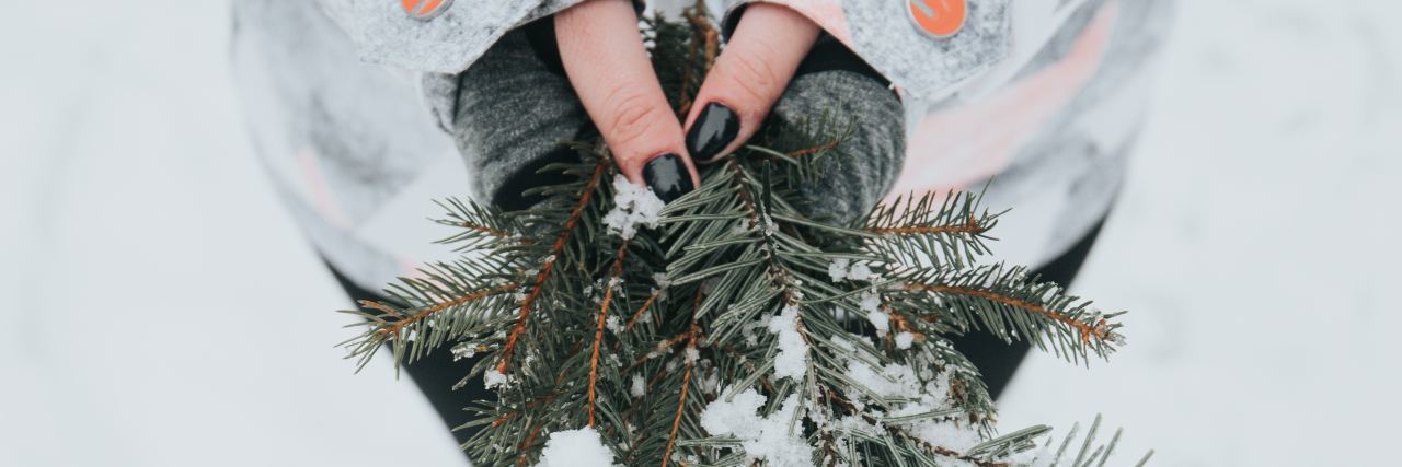 close up photo of woman's hands holding pine in snow
