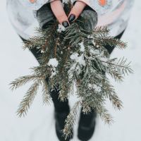 close up photo of woman's hands holding pine in snow