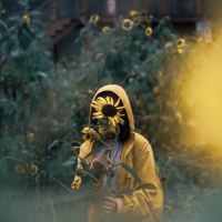 person covering face with sunflower in field